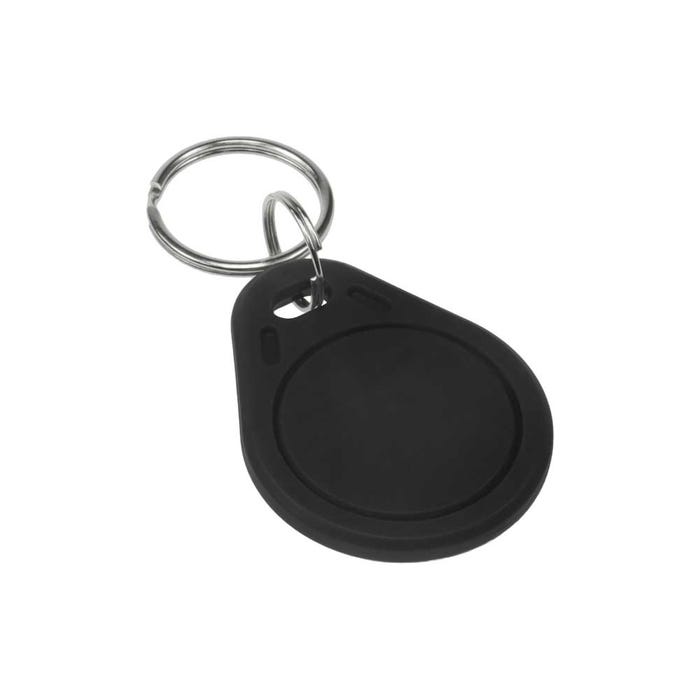 RFID EM Key Tag, Keyfob,100pcs/Polybag Black