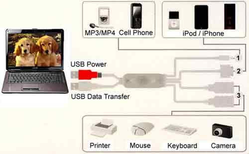 4 Port USB2.0 Squid Hub, iPod/Mini5/A-Female x 2