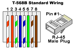 T-568B Standard Wiring